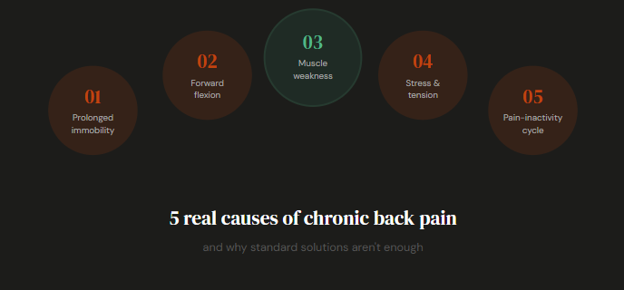 Chronic back pain: the real causes (and what actually works)